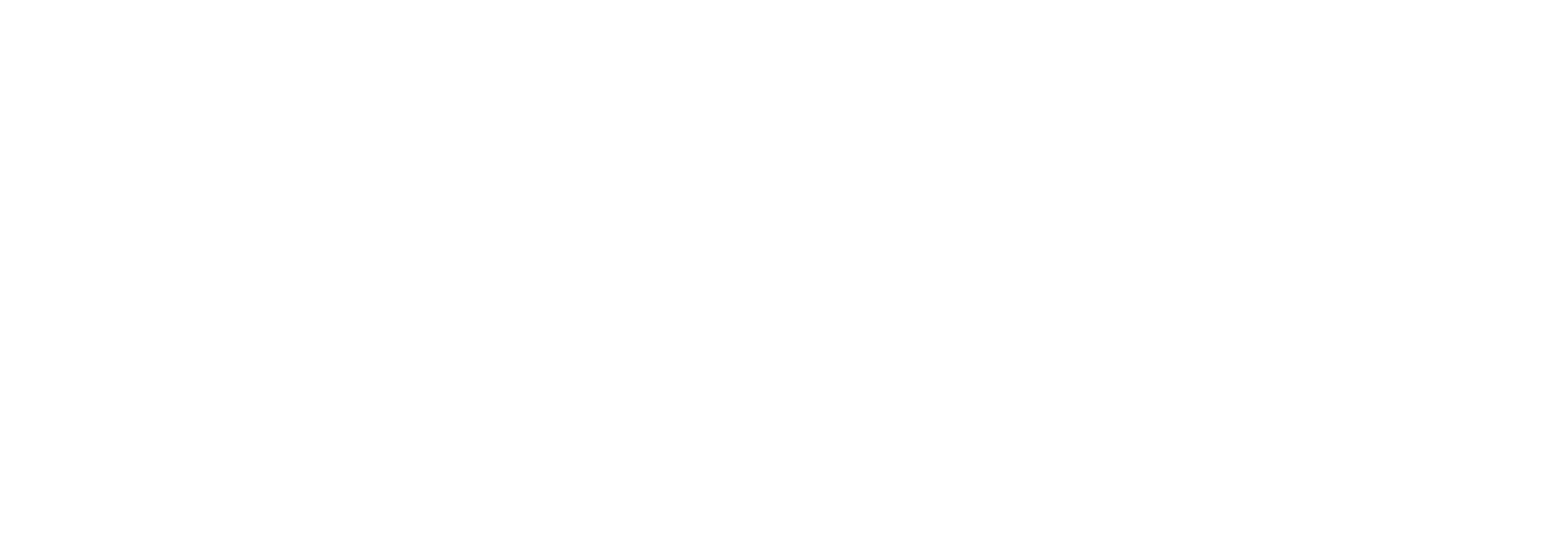 Logo VTW